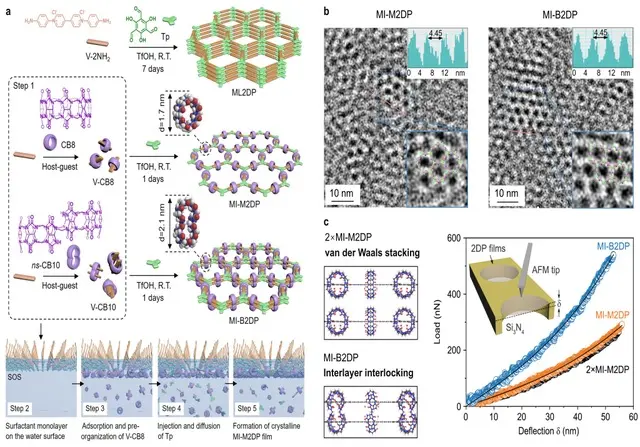 scientific schematic graphics multilayer 2D polymers